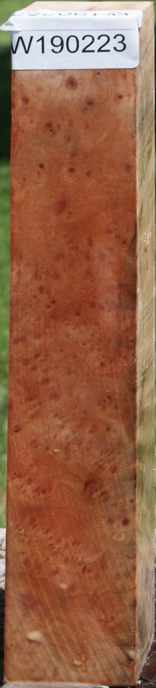 Madrone Burl Turning Square