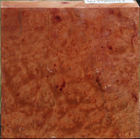 Madrone Burl Bowl Blank