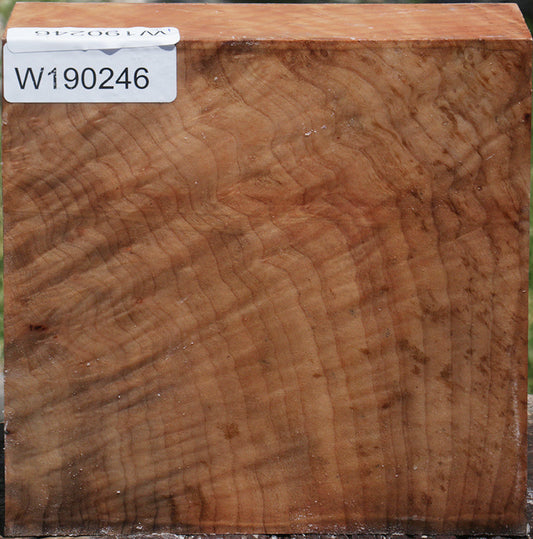 Extra Fancy Madrone Bowl Blank