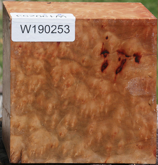 Madrone Burl Bowl Blank