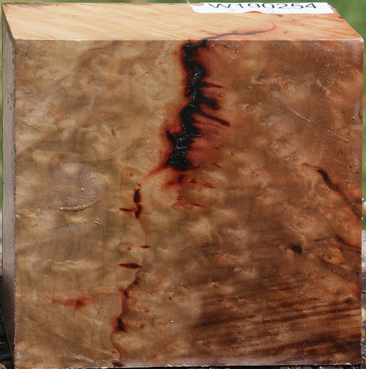 Madrone Burl Bowl Blank