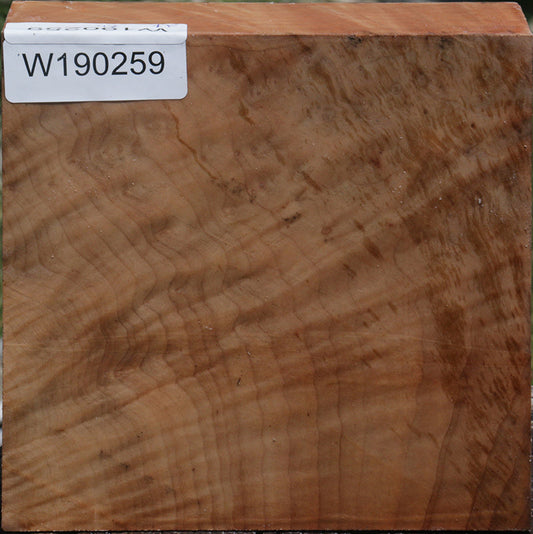 Extra Fancy Madrone Bowl Blank