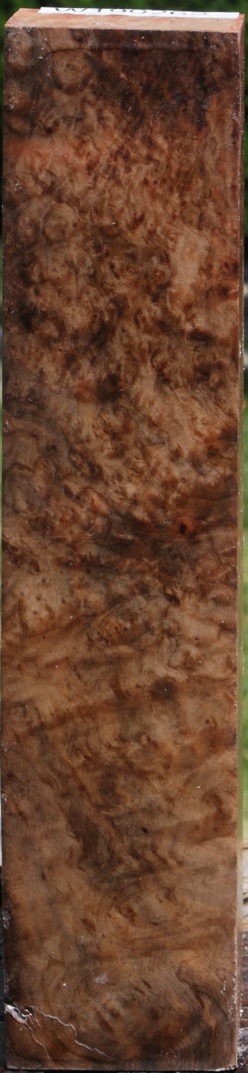 Madrone Burl Peppermill