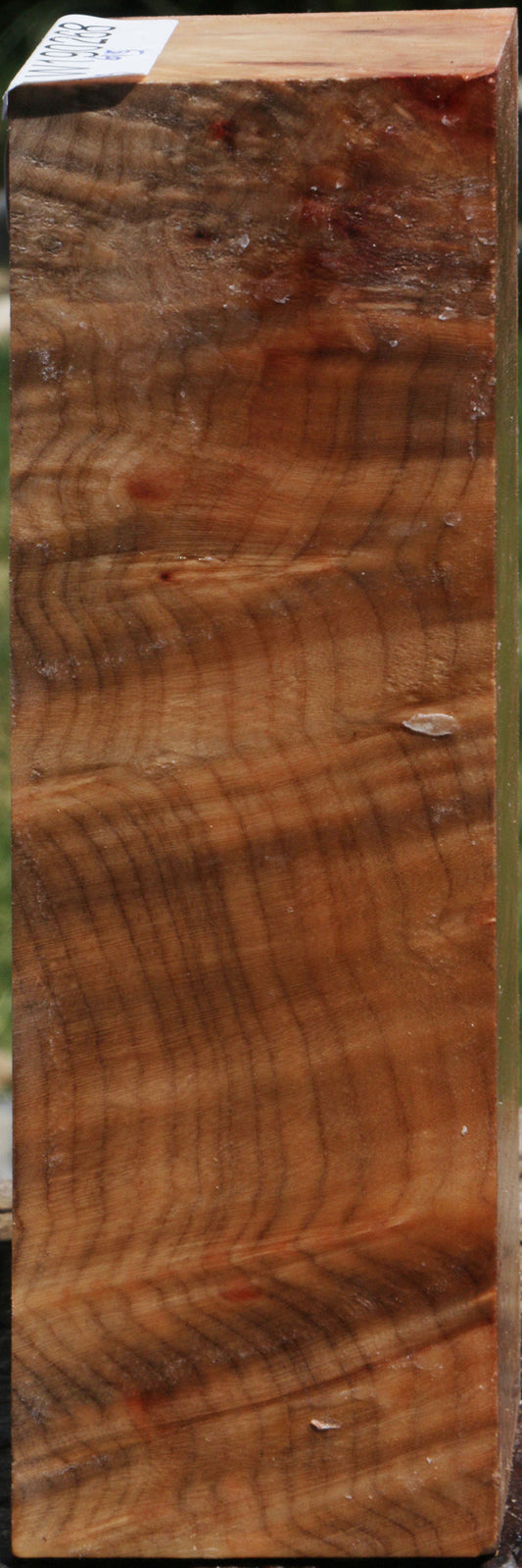 Madrone Burl Turning Square