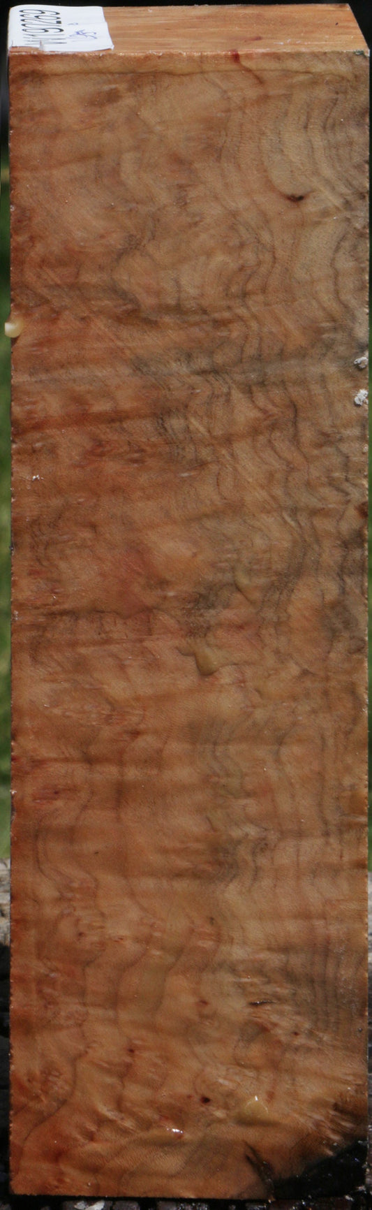 Madrone Burl Turning Square