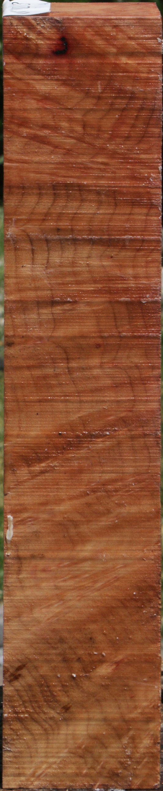 Madrone Burl Turning Square