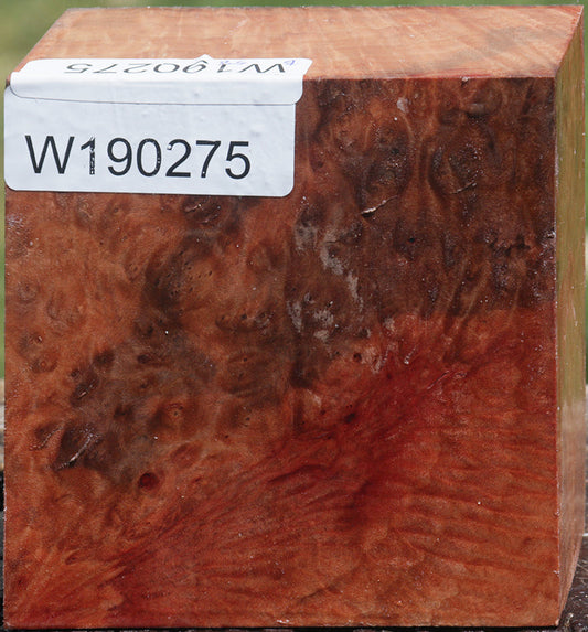 Madrone Burl Bowl Blank