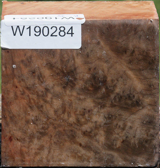 Madrone Burl Bowl Blank