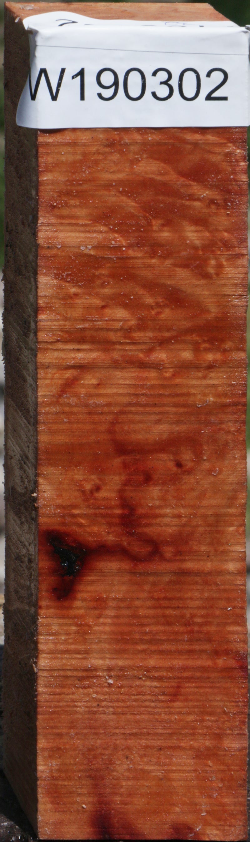 Madrone Turning Square