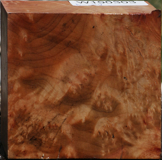 Madrone Burl Bowl Blank
