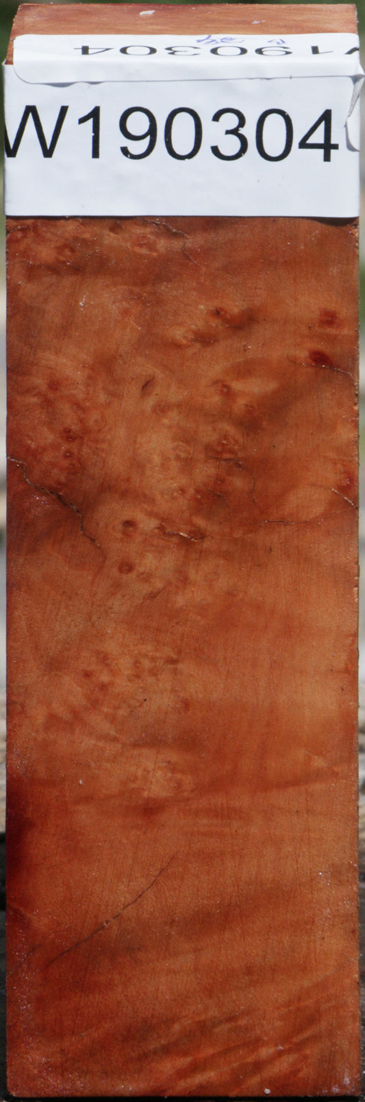 Madrone Burl Turning Square