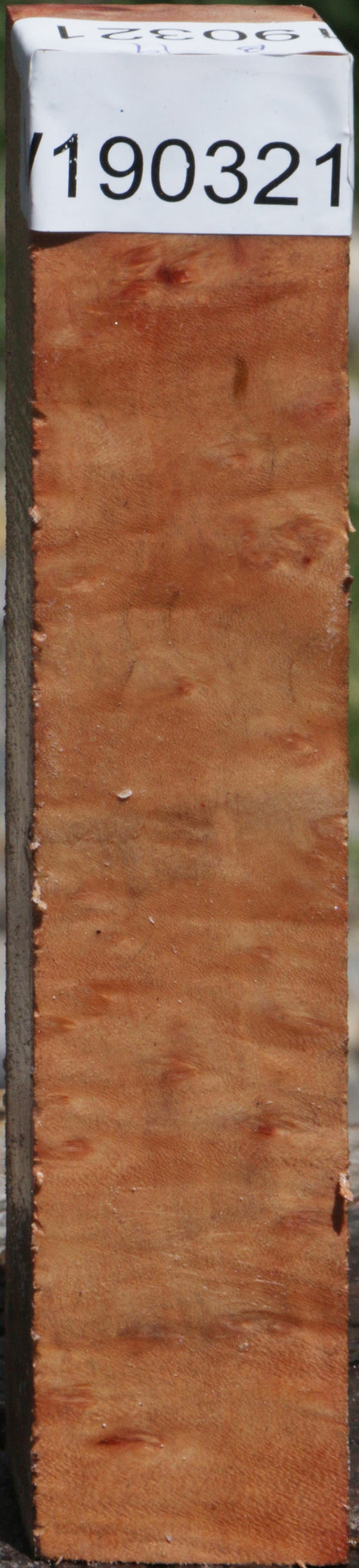 Madrone Burl Turning Square