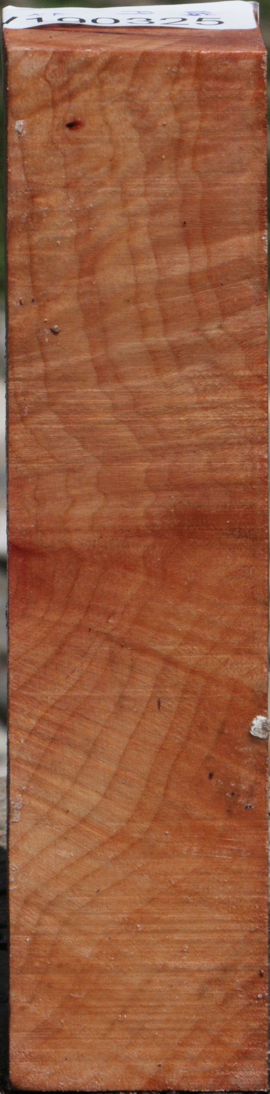 Extra Fancy Madrone Turning Square