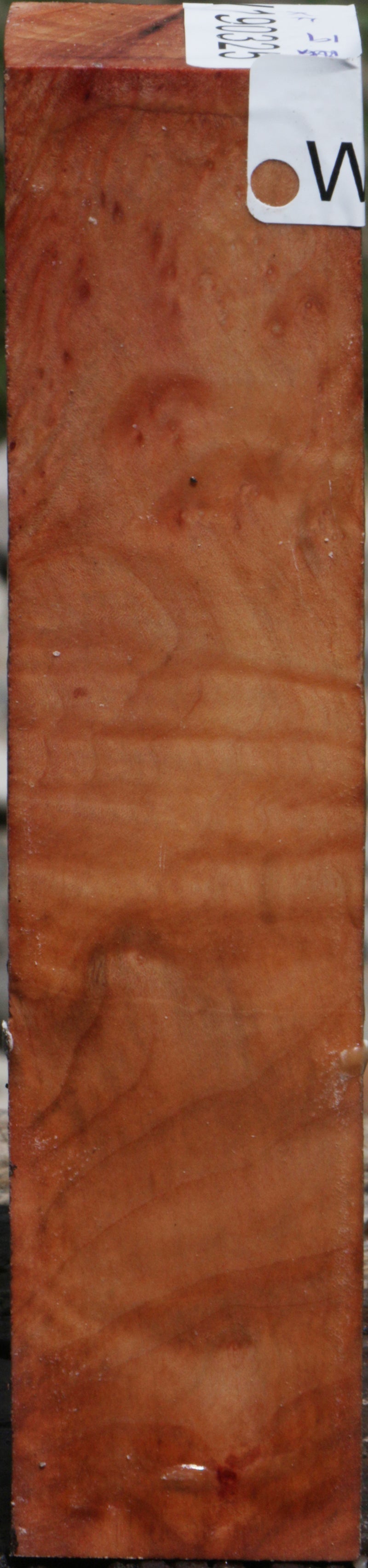 Extra Fancy Madrone Turning Square