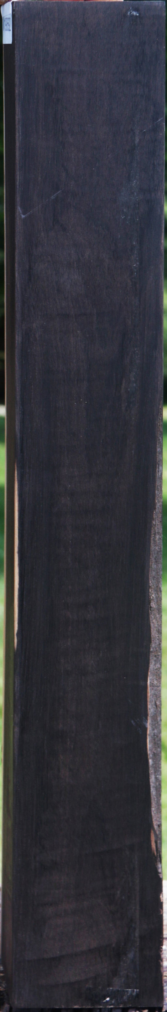 African Blackwood Instrument Blank