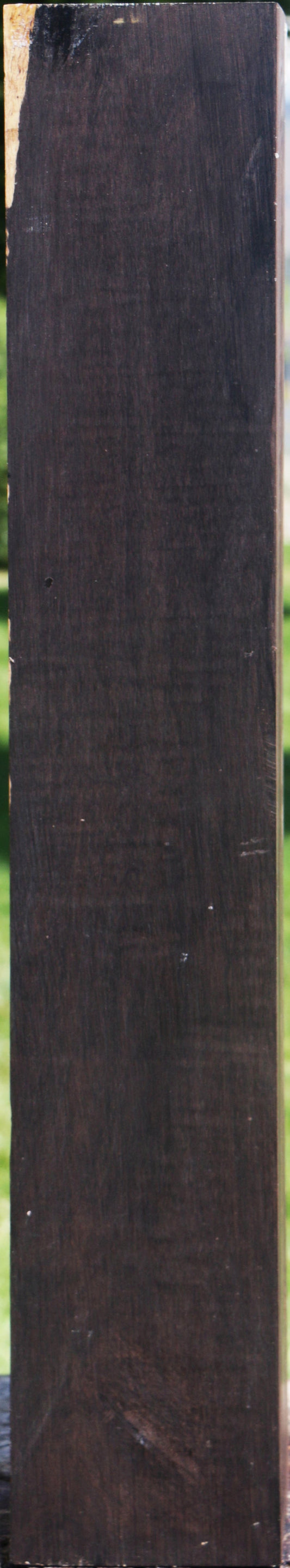 African Blackwood Instrument Blank
