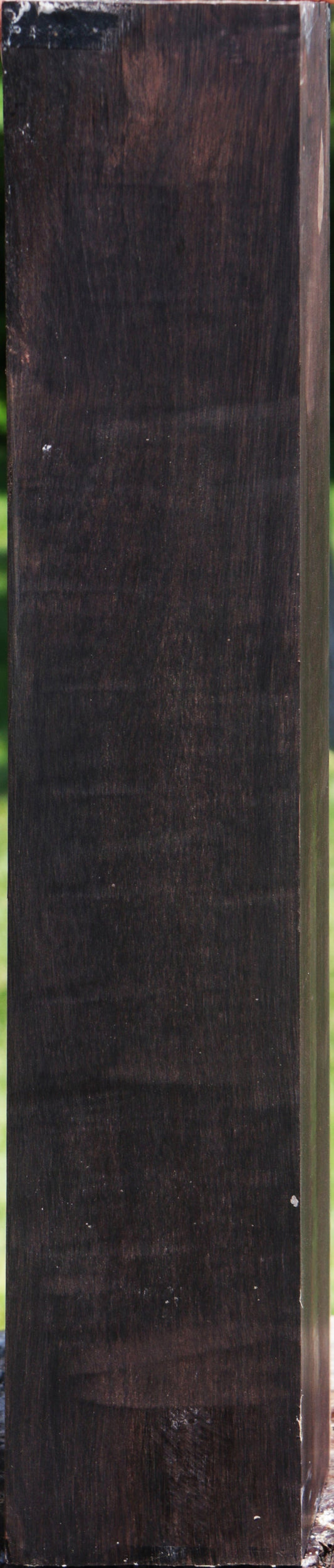 African Blackwood Instrument Blank