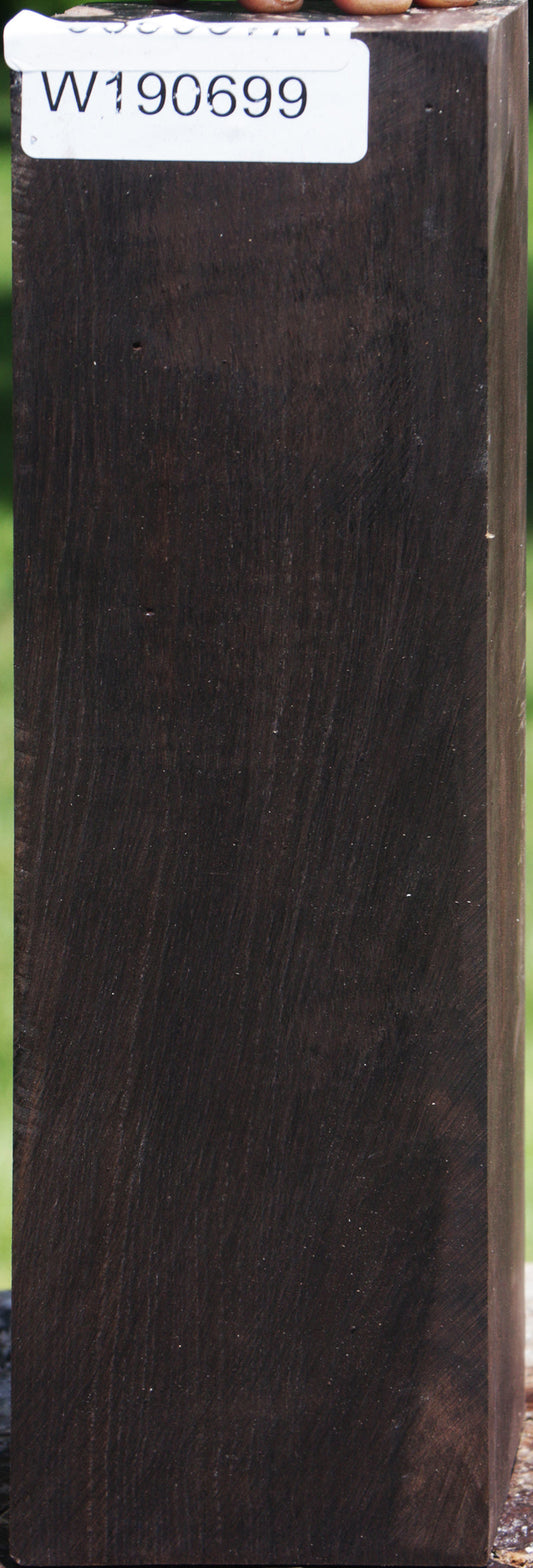 African Blackwood Instrument Blank