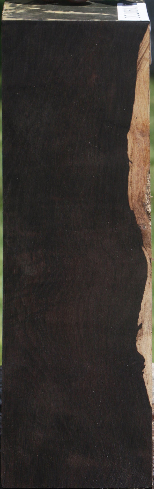 African Blackwood Instrument Blank