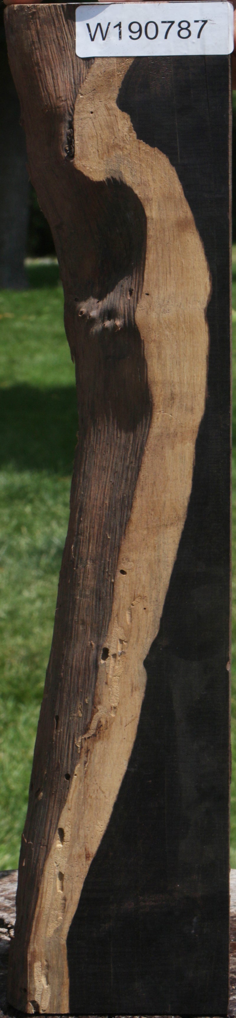 African Blackwood Live Edge Lumber