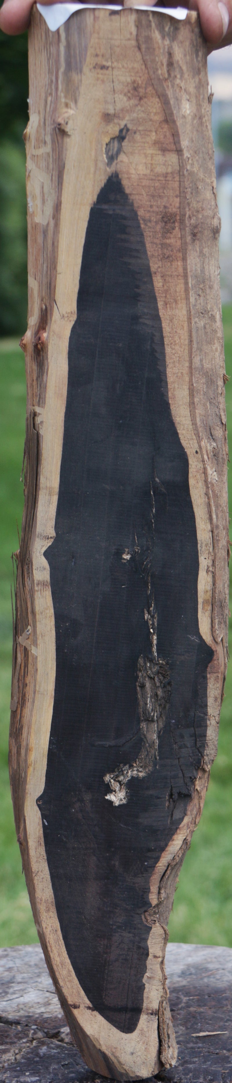 Rustic African Blackwood Live Edge Lumber