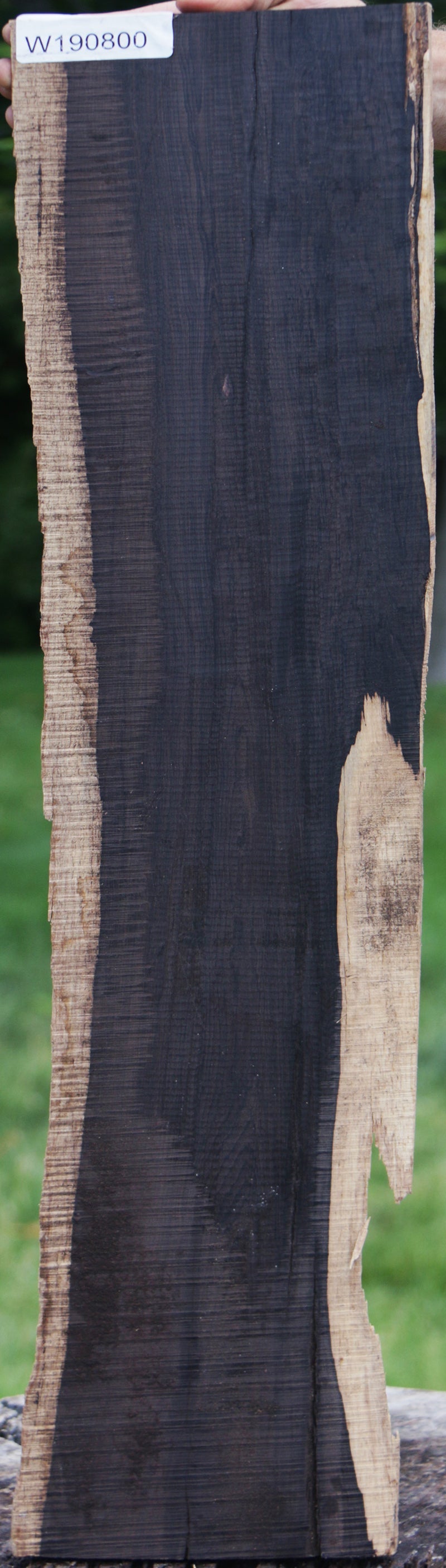 African Blackwood  Wood lumber, Wood tree, Wood