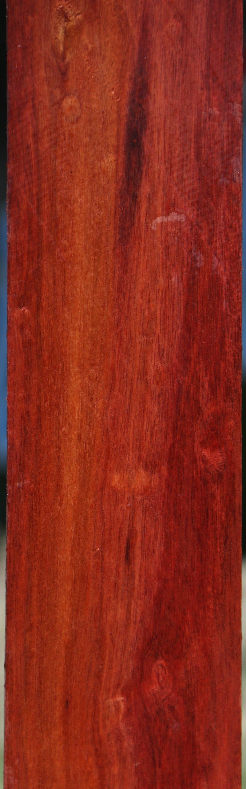Extra Fancy Bloodwood Lumber