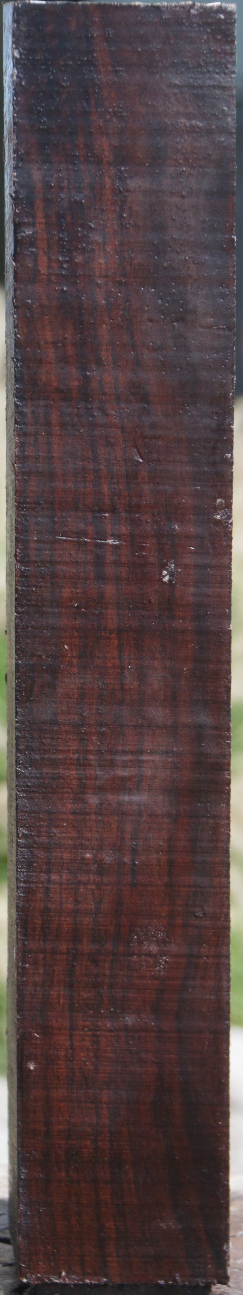 East Indian Rosewood Peppermill