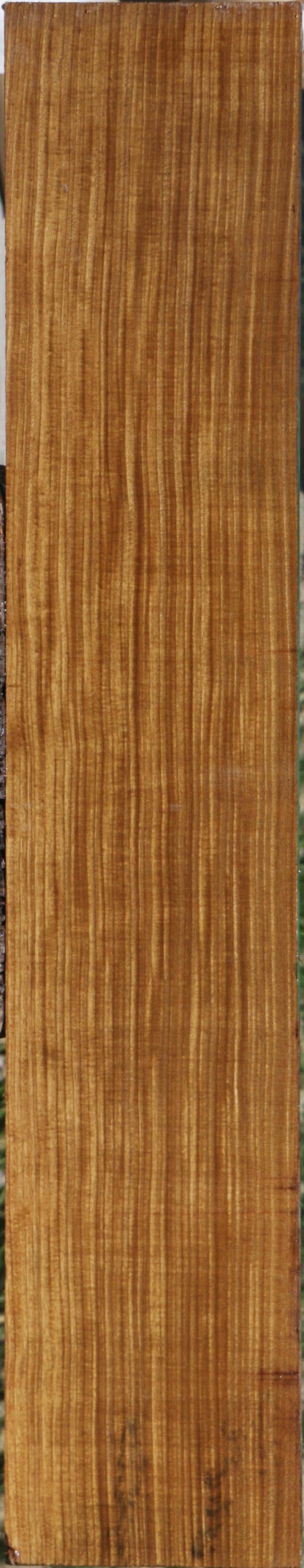Extra Fancy Quartersawn Afrormosia Lumber