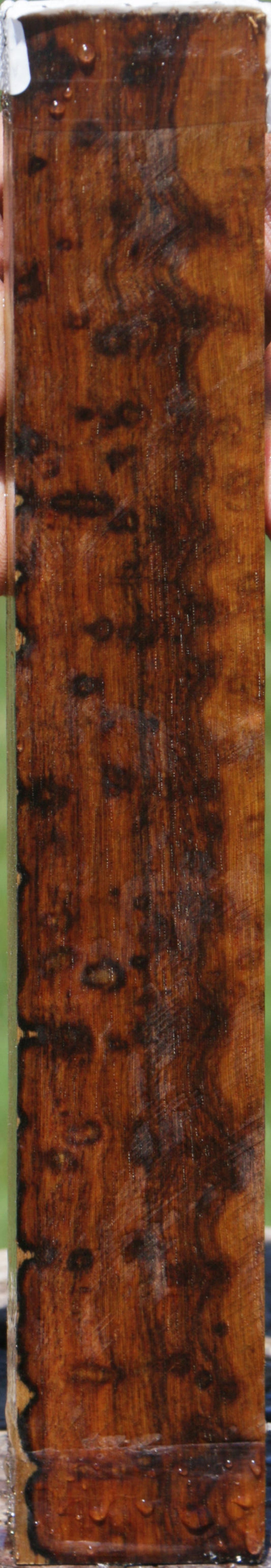 Exhibition Brazilian Blackheart Lumber