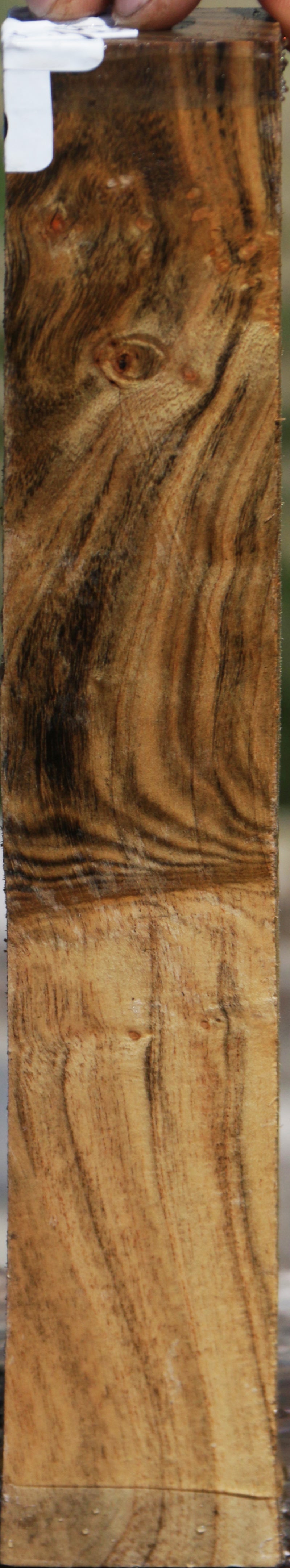Grafted Pistachio Lumber