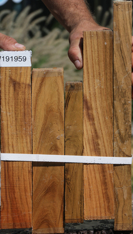 Pistachio Lumber 5 Pack