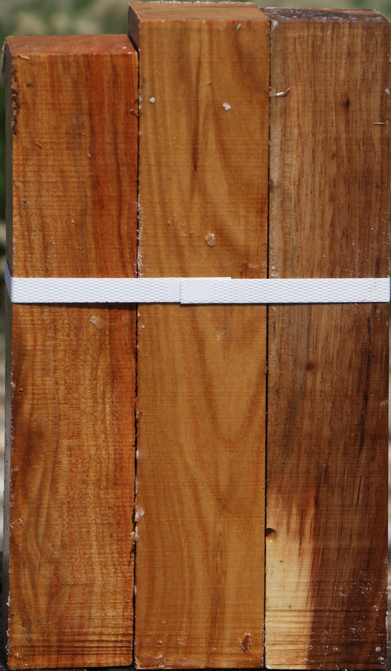 Chinese Elm Turning Square 3 Pack