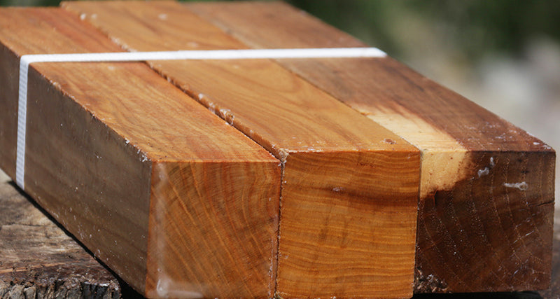 Chinese Elm Turning Square 3 Pack