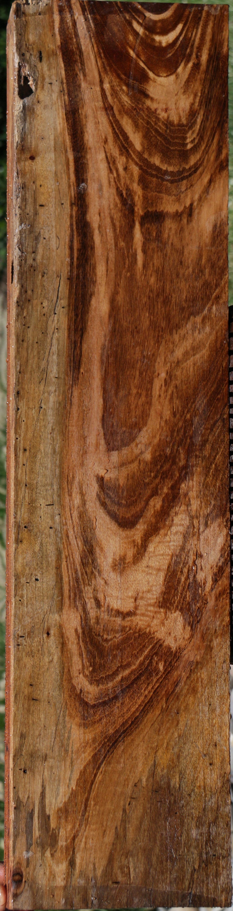 Tigerwood Lumber