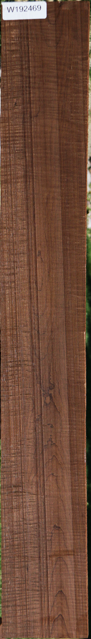 Exhibition Curly Caramelized Maple Lumber