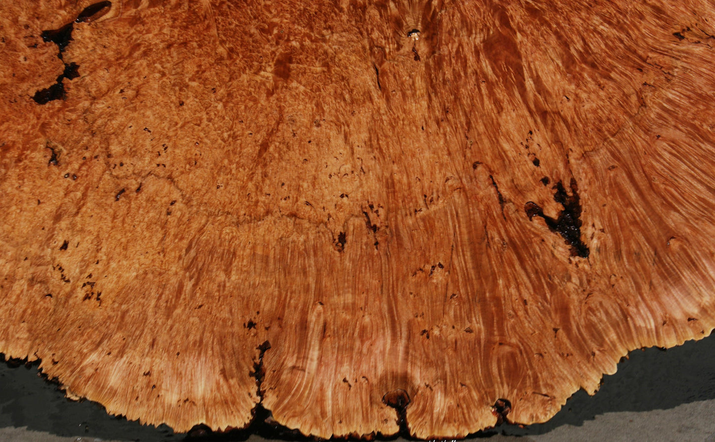Exhibition Maple Burl Cookie (Free Shipping Excluded)