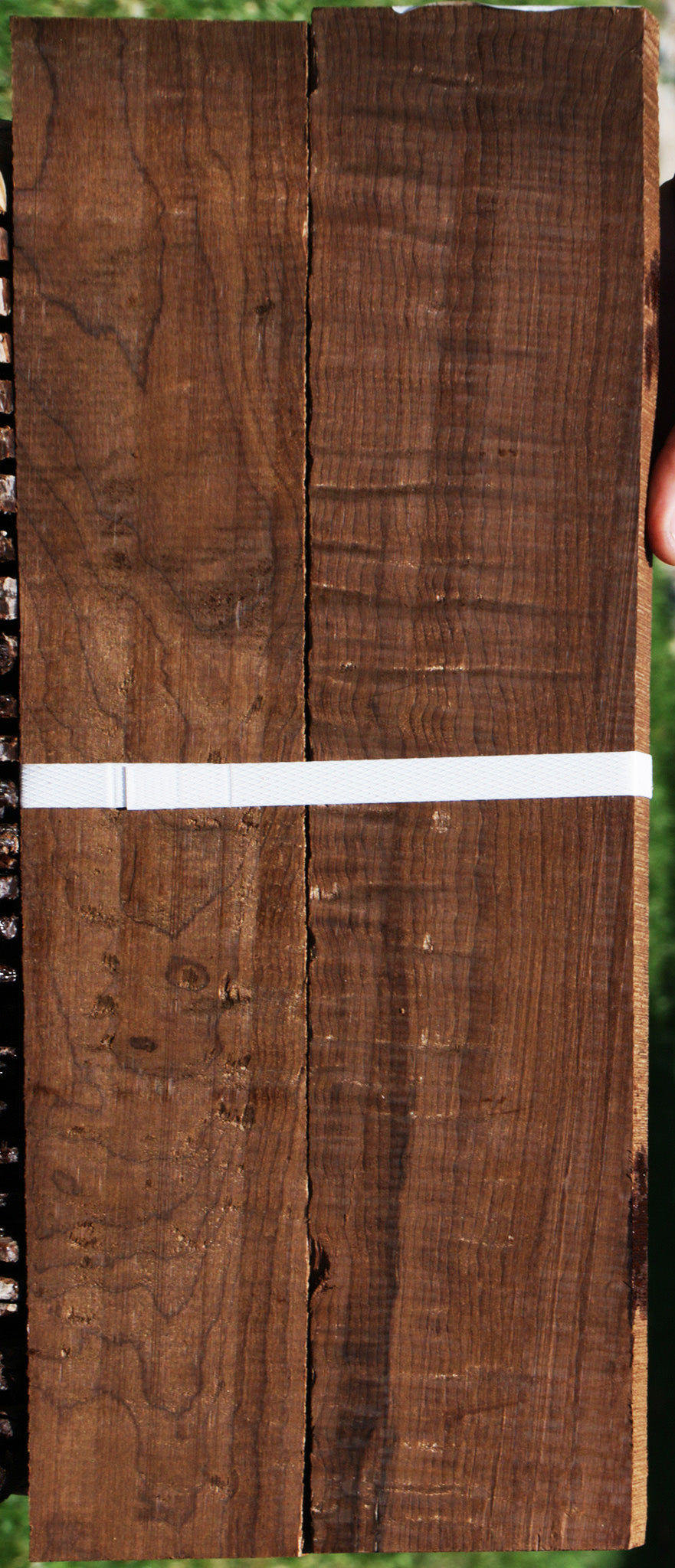 Extra Fancy Caramelized Birch Lumber 2 Pack