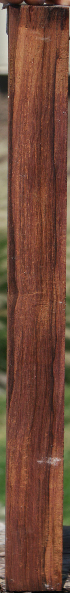 Madagascar Rosewood Turning Square