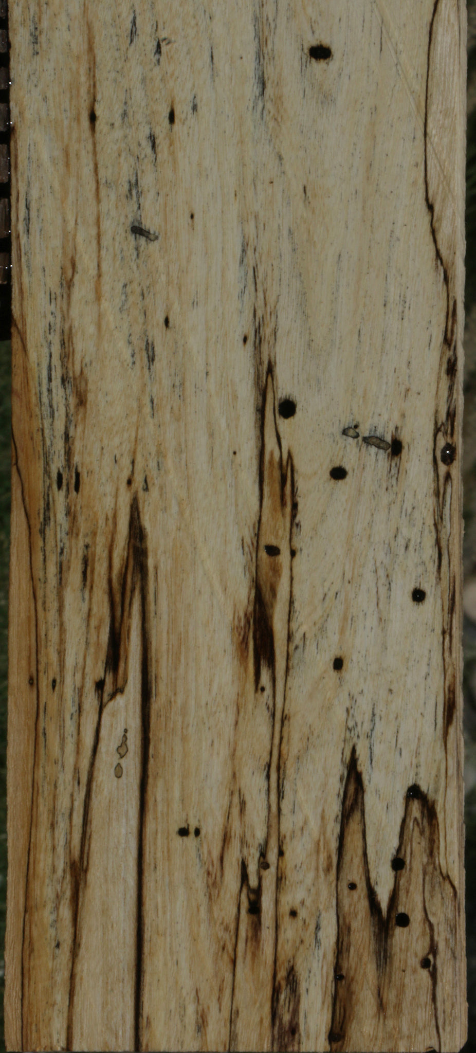 Spalted Hackberry Lumber