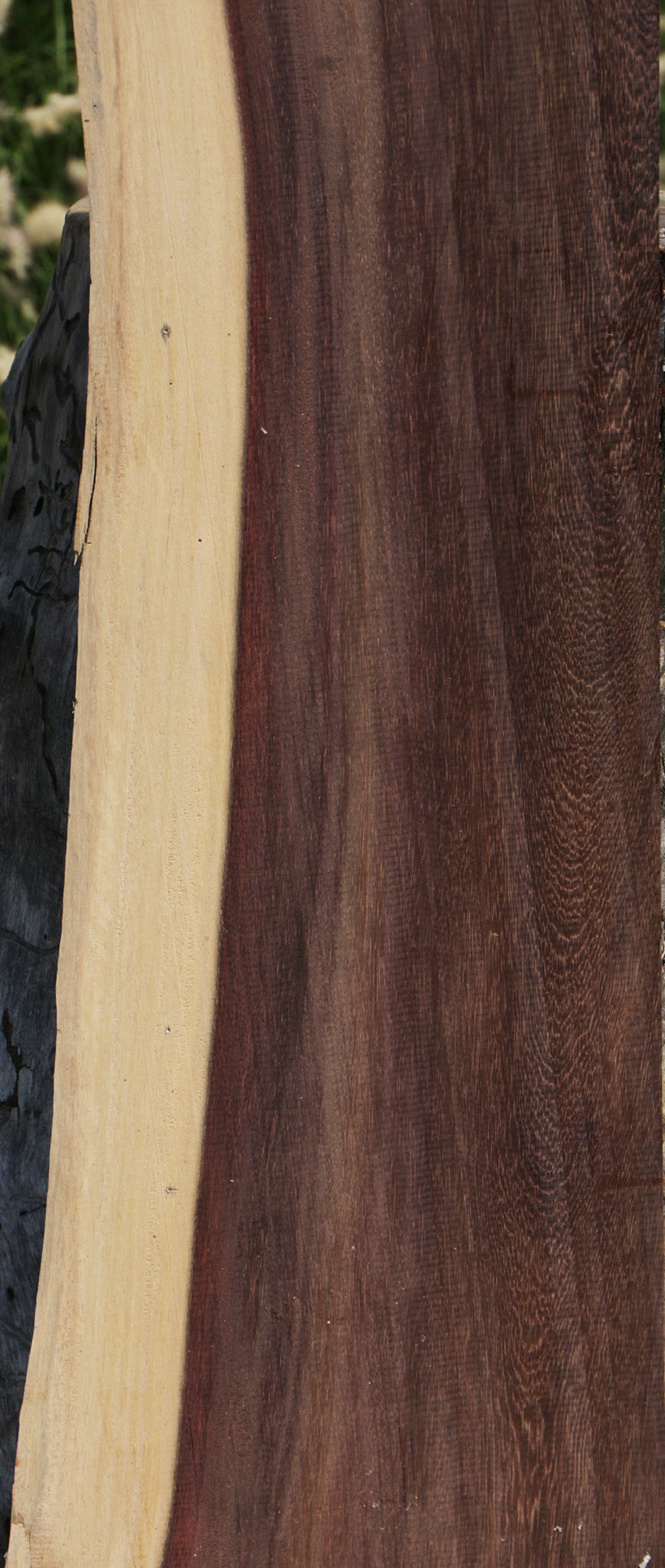 Katalox Live Edge Lumber