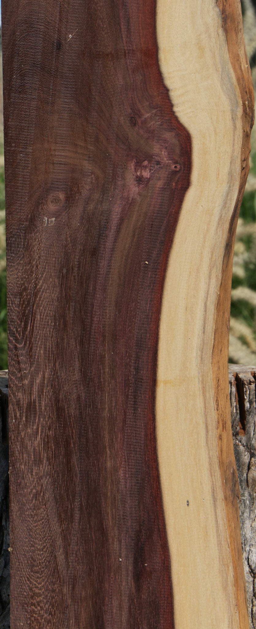 Katalox Live Edge Lumber