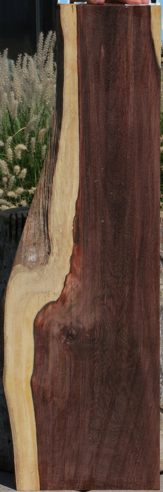 Katalox Live Edge Lumber