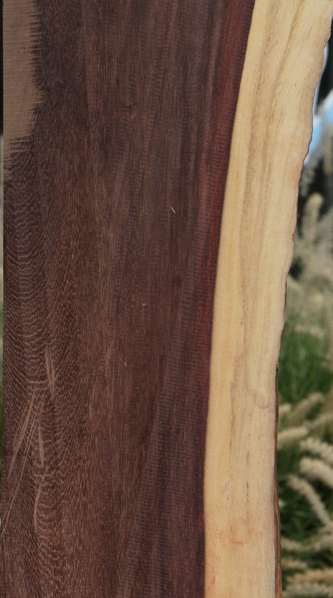 Katalox Live Edge Lumber