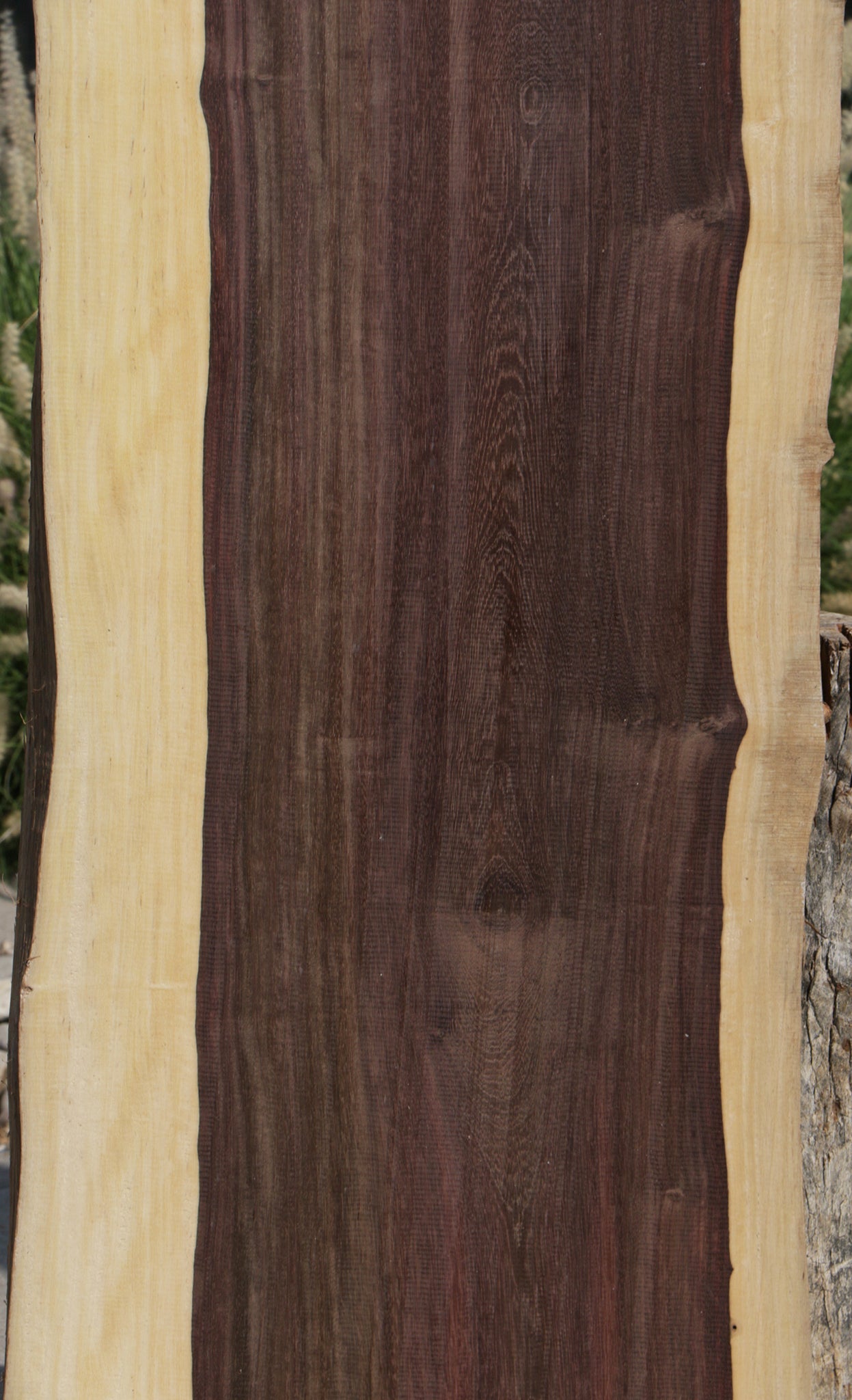 Katalox Live Edge Lumber