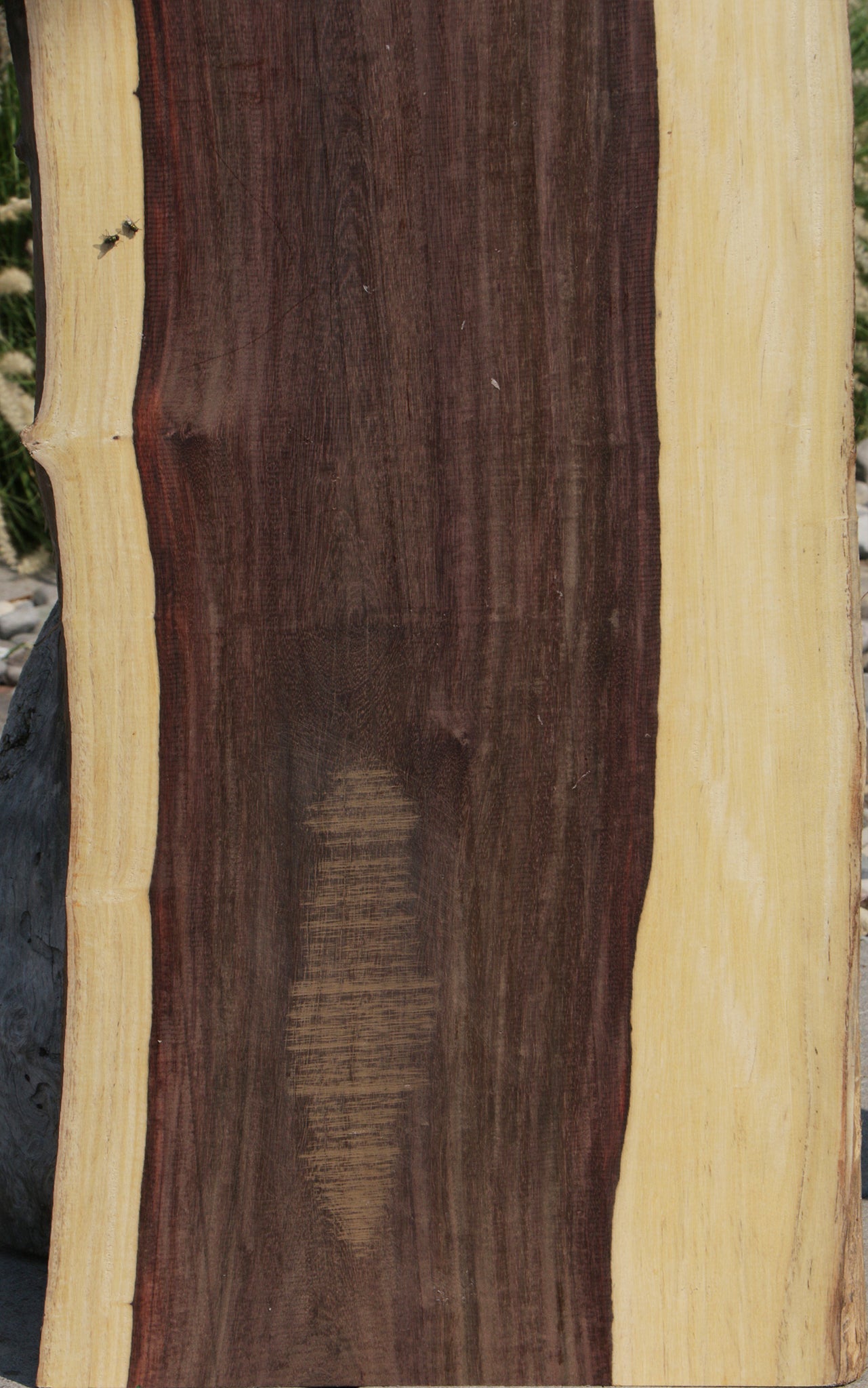 Katalox Live Edge Lumber
