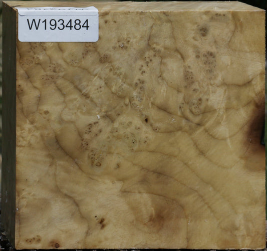 Myrtle Burl Bowl Blank