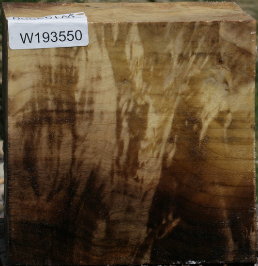 Extra Fancy Myrtle Bowl Blank