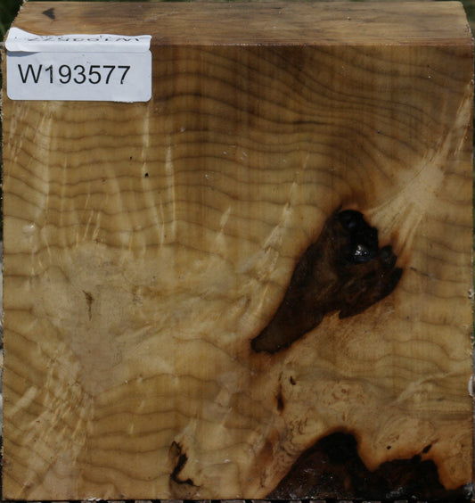 Myrtle Burl Bowl Blank