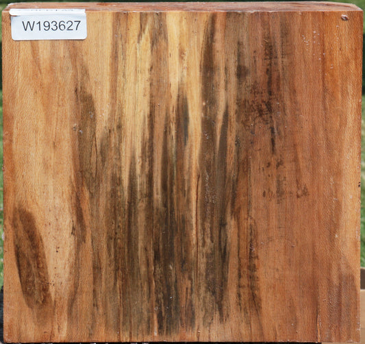 Sycamore Live Edge Bowl Blank